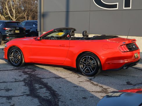 Used 2022 Ford Mustang Premium image 13