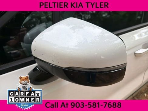 Used 2024 Kia Carnival SX Prestige FWD image 6