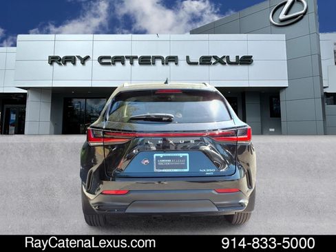 Certified 2023 Lexus NX 350 AWD w/ Cold Area Package image 5