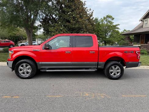 Used 2019 Ford F150 XLT w/ Equipment Group 302A Luxury AWD/4WD image 13
