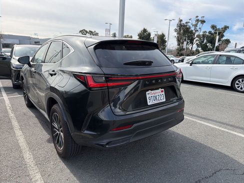 Used 2025 Lexus NX 350h AWD w/ Cold Area Package image 3