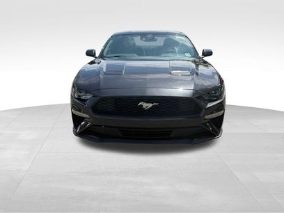 Used 2022 Ford Mustang Coupe w/ Equipment Group 101A