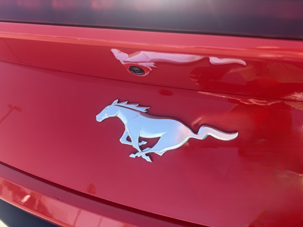 Used 2024 Ford Mustang Premium RWD image 6