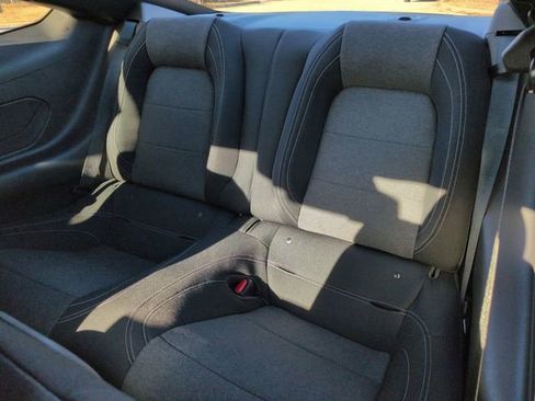 New 2026 Ford Mustang Coupe w/ Mustang Nite Pony Package image 14