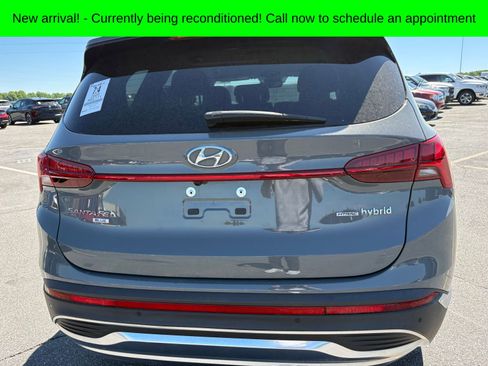 Used 2023 Hyundai Santa Fe Blue AWD/4WD image 4