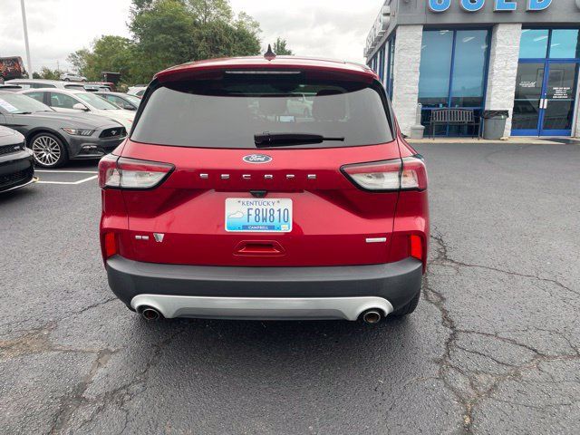 Used 2020 Ford Escape SE FWD image 5