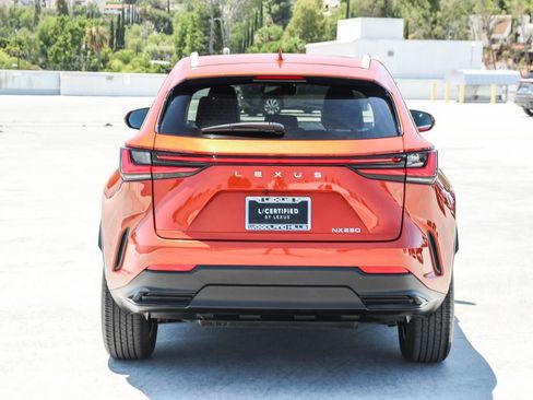 Certified 2024 Lexus NX 250 FWD image 6