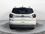 Used 2019 Ford Escape SEL image 6