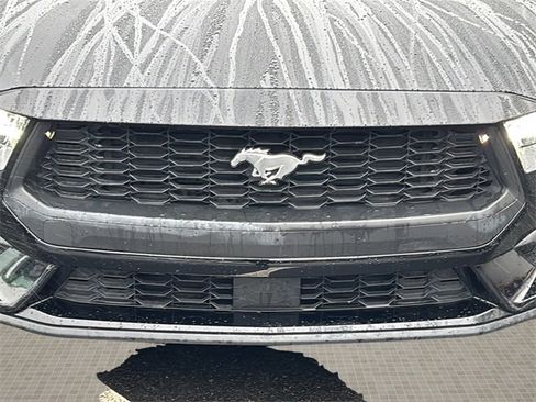 Used 2024 Ford Mustang Premium image 9