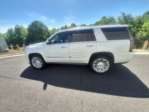 Used 2019 Cadillac Escalade Platinum AWD/4WD image 5