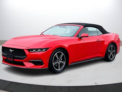 Used 2024 Ford Mustang Premium image 4