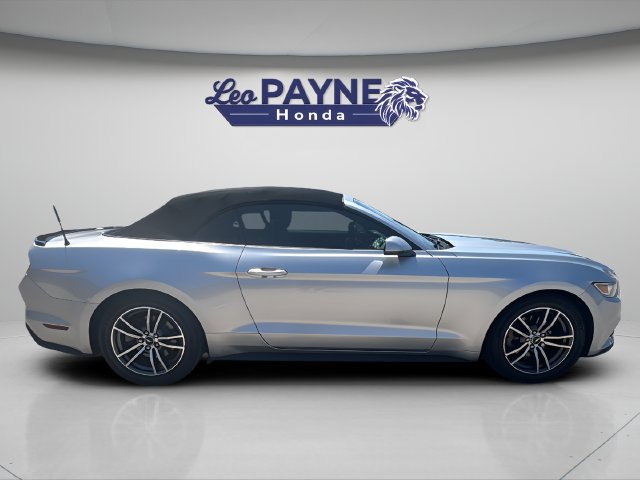 Used 2015 Ford Mustang Premium RWD image 8