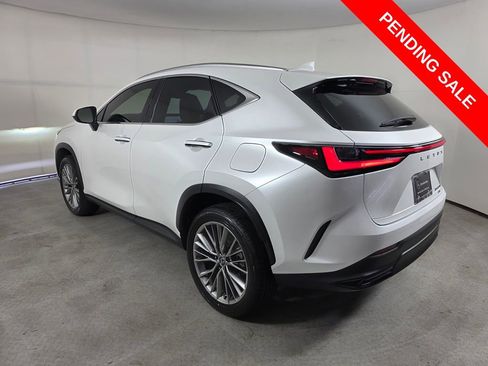 Used 2025 Lexus NX 350h AWD w/ Accessory Package (K3) image 6