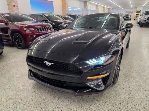 Used 2019 Ford Mustang Coupe w/ Equipment Group 101A RWD image 2