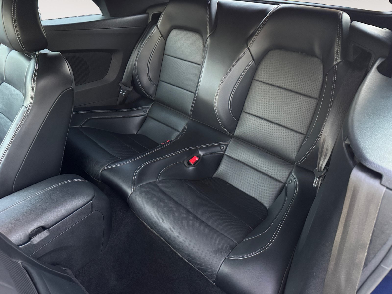 Used 2019 Ford Mustang Premium w/ Equipment Group 201A RWD image 13