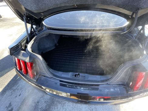 Used 2019 Ford Mustang GT Premium w/ Equipment Group 401A image 23