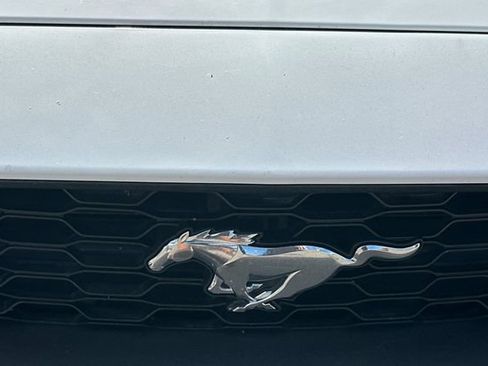 Used 2020 Ford Mustang Premium RWD image 9
