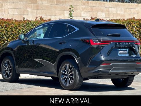 Certified 2025 Lexus NX 350h AWD w/ Cold Area Package image 6