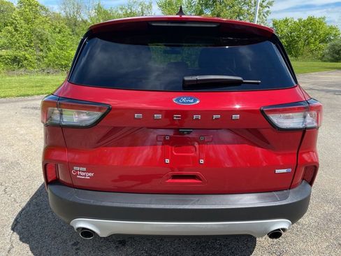 Used 2020 Ford Escape SE AWD/4WD image 4