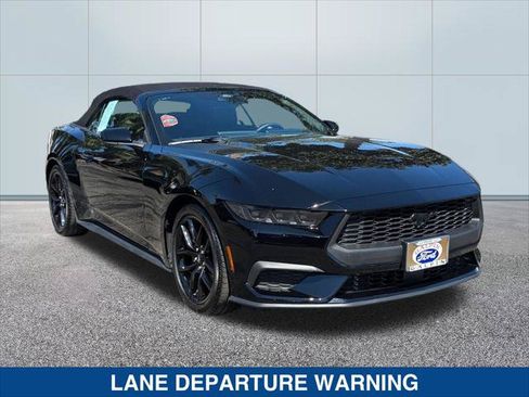 Certified 2025 Ford Mustang Convertible w/ Mustang Nite Pony Package RWD image 7