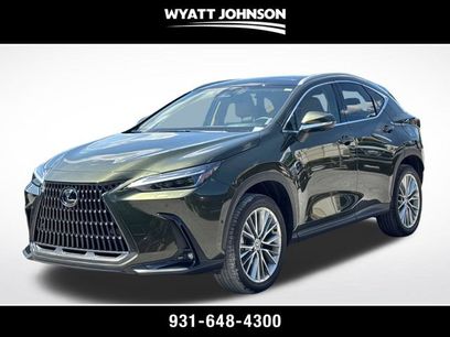 Used 2025 Lexus NX 350 AWD w/ Cold Area Package