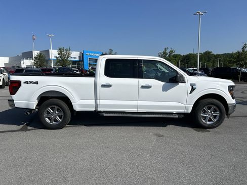 Used 2024 Ford F150 XLT w/ Mobile Office Package AWD/4WD image 8
