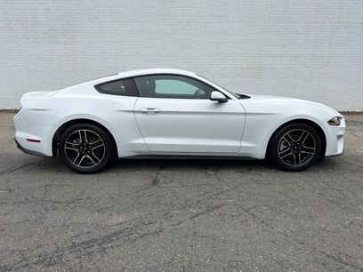Used 2019 Ford Mustang EcoBoost Premium Coupe 2D w/ Equipment Group 101A