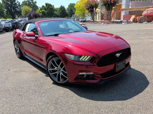 Used 2017 Ford Mustang Premium RWD image 1