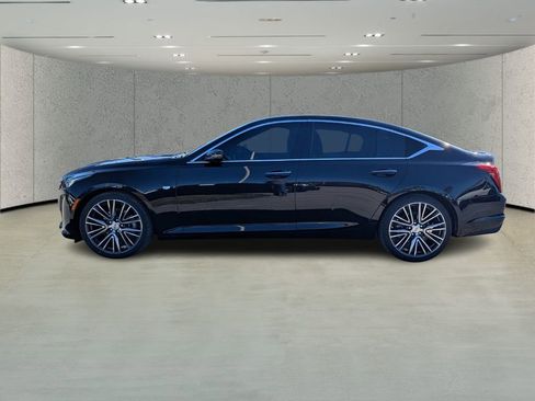 Used 2023 Cadillac CT5 Premium Luxury w/ Parking Package RWD image 6