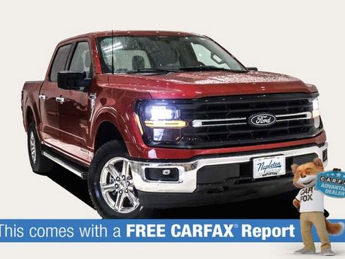 Used 2025 Ford F150 XLT w/ Equipment Group 301A Standard image 2