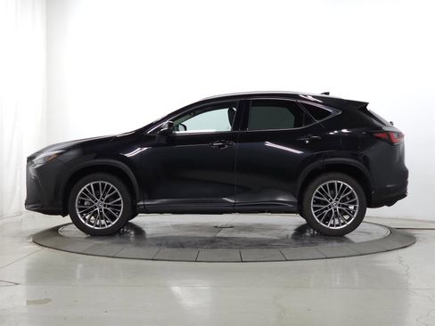 Used 2022 Lexus NX 350h Premium image 4