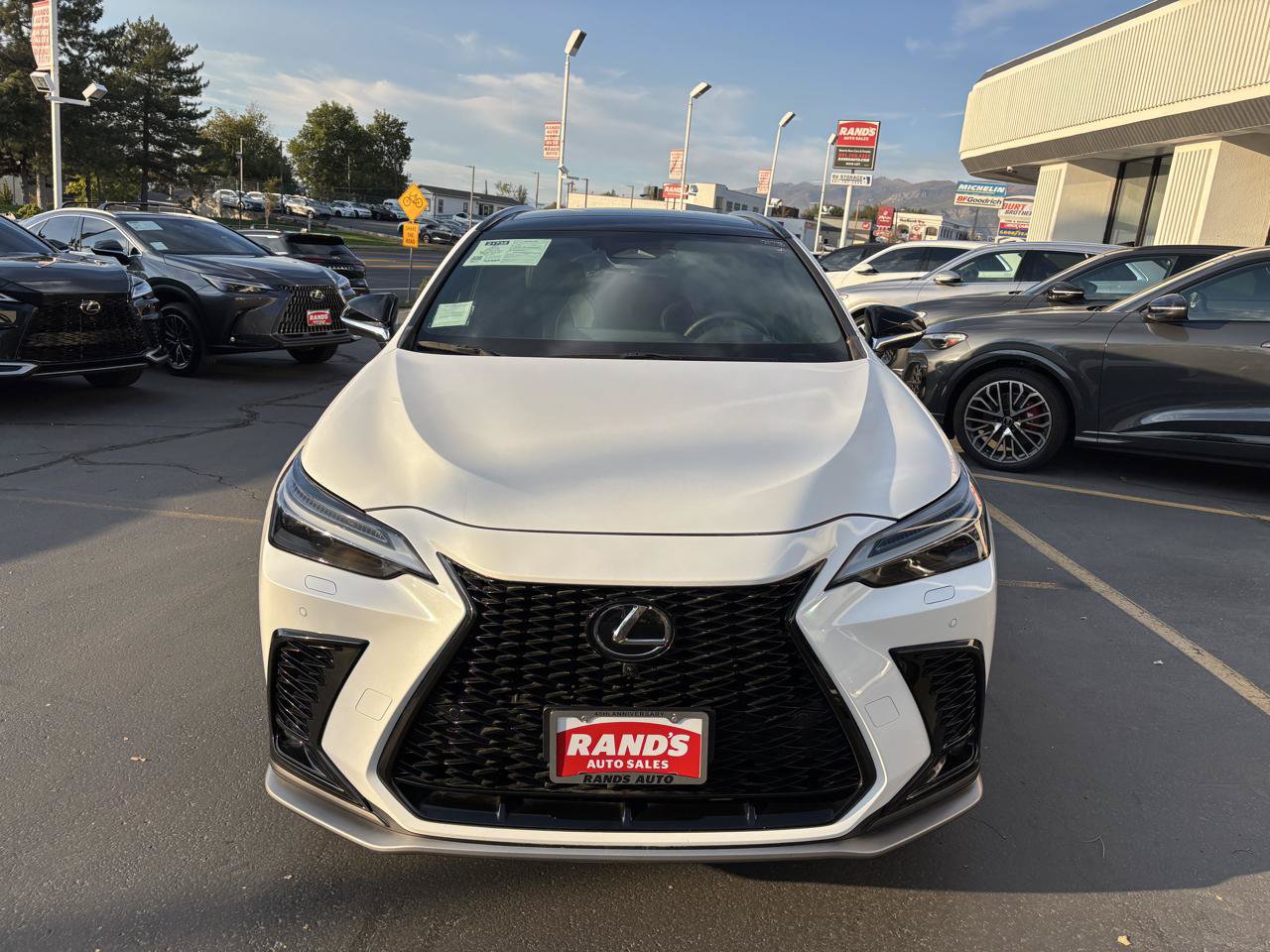 Used 2024 Lexus NX 350 F Sport AWD/4WD image 8