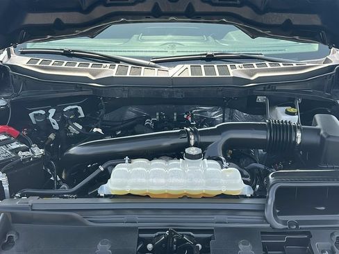 Used 2025 Ford F150 XLT w/ Equipment Group 301A Standard RWD image 3