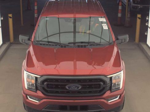 Used 2023 Ford F150 XLT w/ Equipment Group 302A High image 2