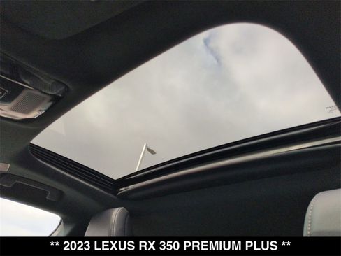 Used 2023 Lexus RX 350 Premium Plus w/ Cold Area Package image 2