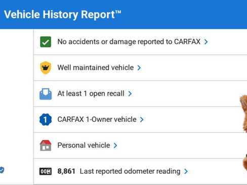 Used 2025 Audi Q8 Premium Plus image 6