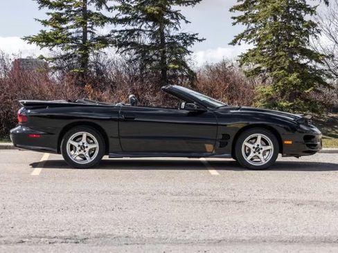 Used 1999 Pontiac Firebird Trans Am RWD image 2