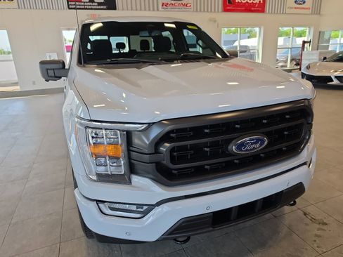 Used 2022 Ford F150 XLT w/ Equipment Group 302A High AWD/4WD image 4
