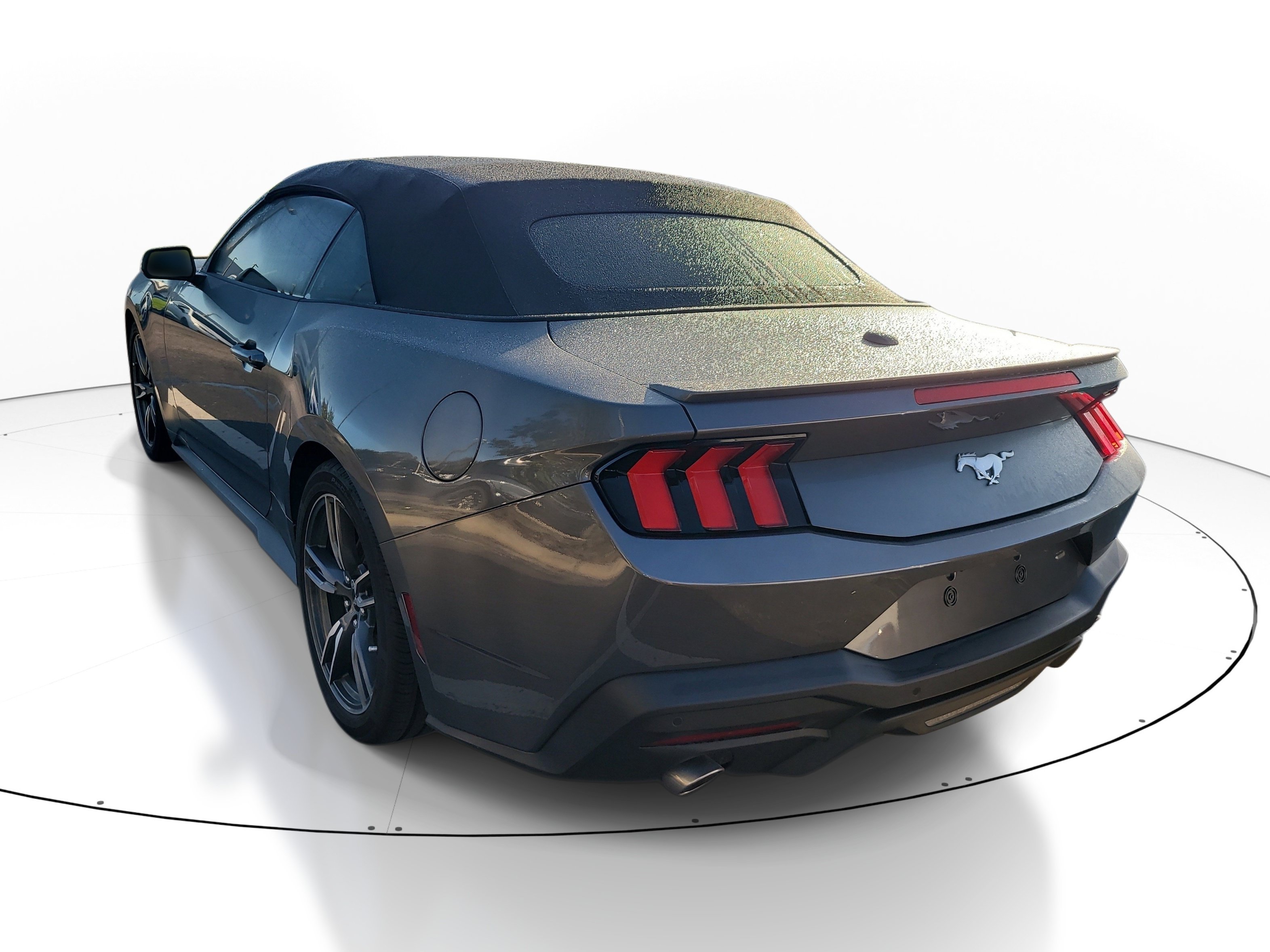 Used 2025 Ford Mustang Premium w/ Wheel & Stripe Package RWD image 6