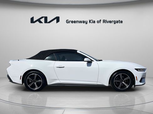 Used 2024 Ford Mustang Premium image 6