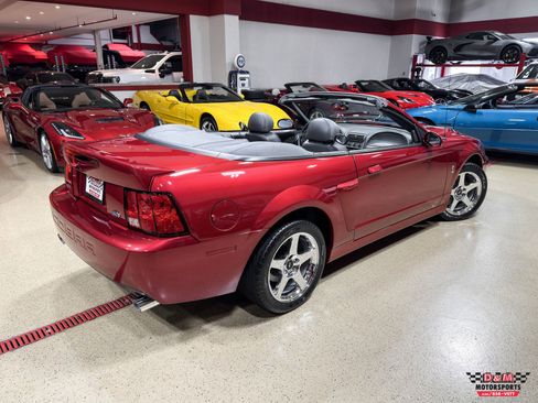 Used 2003 Ford Mustang SVT Cobra Convertible RWD image 48