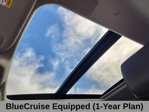 Used 2025 Ford Expedition Max Platinum w/ Platinum Ultimate Package image 13