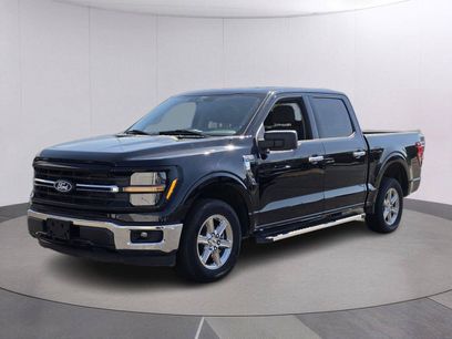 Used 2025 Ford F150 XLT w/ Equipment Group 301A Standard