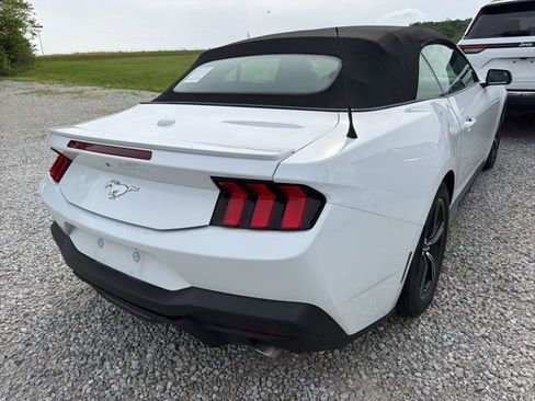 Used 2025 Ford Mustang Premium RWD image 5