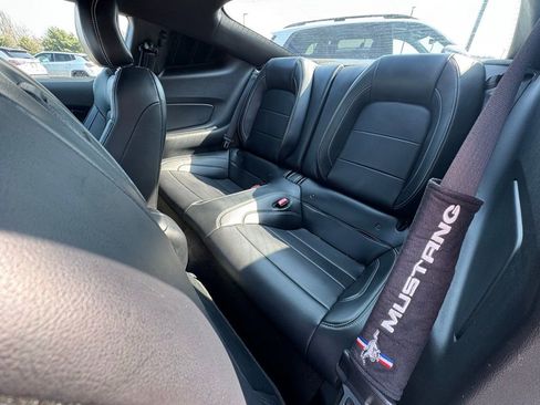 Used 2015 Ford Mustang GT Premium w/ Equipment Group 401A image 22