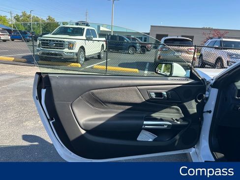 New 2025 Ford Mustang GT image 29