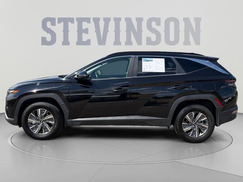 Used 2022 Hyundai Tucson Blue AWD/4WD image 2