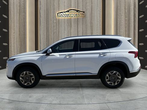 Used 2021 Hyundai Santa Fe Blue image 4