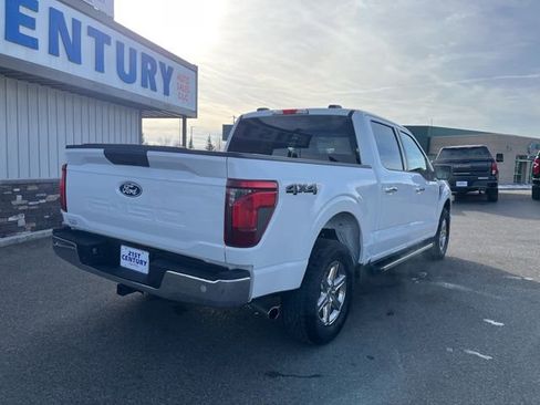Used 2025 Ford F150 XLT w/ Equipment Group 301A Standard AWD/4WD image 12