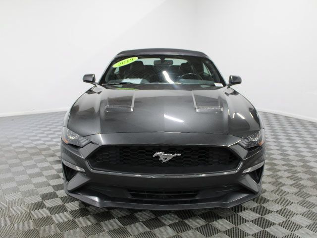 Used 2019 Ford Mustang Premium RWD image 10